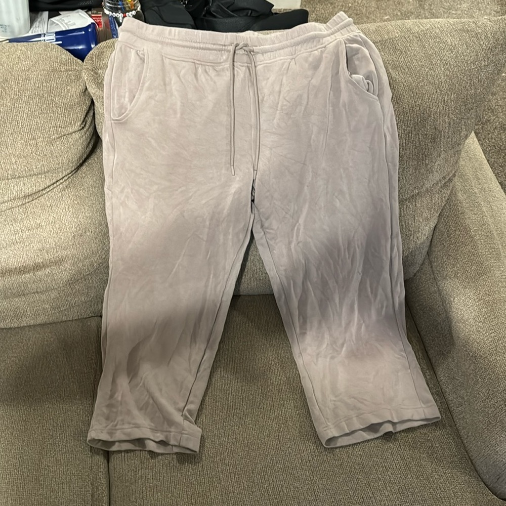 Danskin- sweatpants